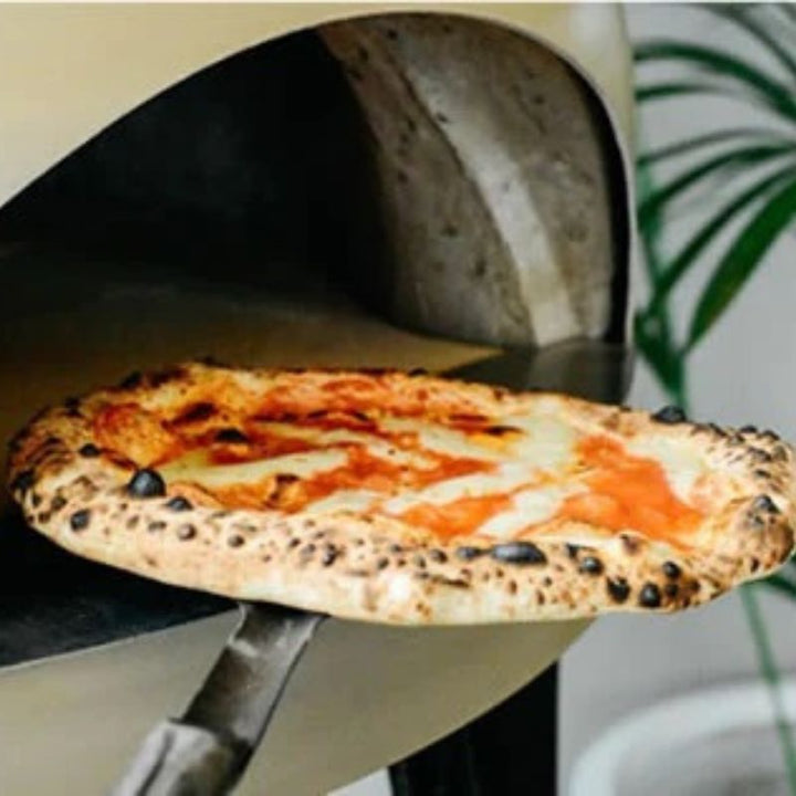 Polito Giotto Wood Fire Pizza Oven
