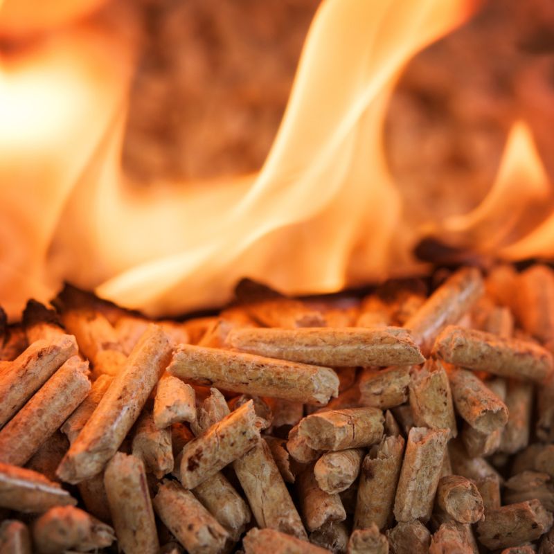 2025 Pellet Grill Buying Guide: 8 Key Buying Considerations And 5 Beginner Mistakes to Avoid