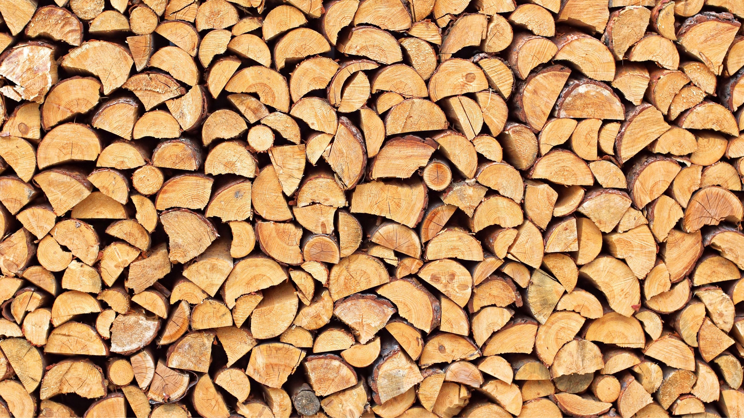 Wood Burning Collection | Fire Goddess