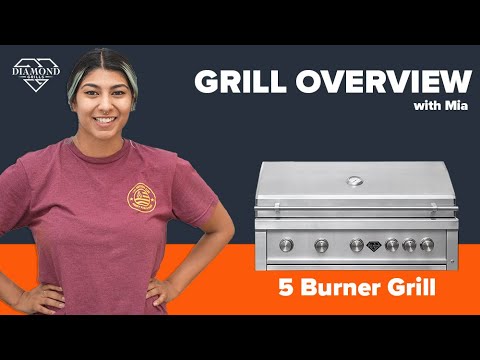 Revolutionize Your BBQ Game with Videl Grills!